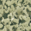 Papel pintado panor&aacute;mico Corals Rebel Walls Green R19823