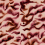 Papel pintado panor&aacute;mico Guppy Rebel Walls Red R19827