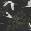 Papel pintado Majestic Cranes Rebel Walls Black R20336