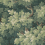 Papel pintado Vintage Foliage Rebel Walls Green R21353