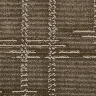 Terciopelo Scratch