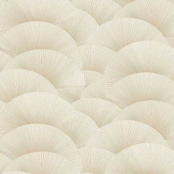 Papel pintado Morning Shell
