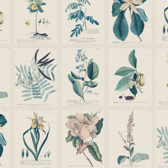 Papel pintado panorámico Flora