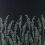 Papel pintado Feather Grass Farrow and Ball Noir BP5106