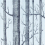 Papel pintado Woods Cole and Son Soot on Foil //69/12150