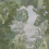 Papel pintado panor&aacute;mico Sherwood Code Light green C8203 intiss