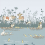 Papel pintado Riverside Capers Little Greene Moo RIV_CAP_02