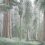 Papel pintado panor&aacute;mico El Bosque Eterno Londonart Sauge BNV06-B