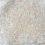 Terciopelo Washed Antoine d'Albiousse Ecume washed-546