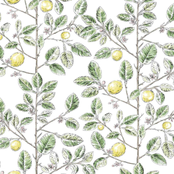 Papier peint Limoncello Toile