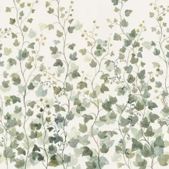 Papel pintado panorámico Ivy
