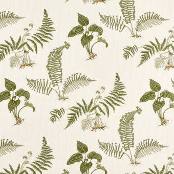 Tejido Hosta & Fern Outdoor