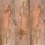 Papel pintado panor&aacute;mico Beige Allure Wall&dec&ograve; Cornaline WDBA2501