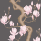Papel pintado Magnolia Tree Cole and Son Charcoal and Soft Pink 128/1001
