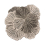 Alfombra Botanica Gan Rugs Grey 450984