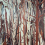 Papel pintado panor&aacute;mico Manglar Arte Coffee Root 97742