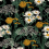 Papel pintado Picnic Coordonn&eacute; Noir C00106