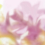 Papel pintado panor&aacute;mico Maravillas Coordonn&eacute; Pink C00143