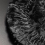 Flequillo Pin001 Dedar Liquirizia 03PIN00100002
