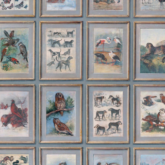 Papel pintado Zoology
