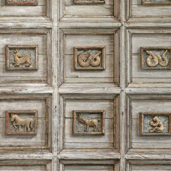 Papel pintado Zodiac