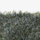 Alfombra Bravoure 60 Kvadrat Mousse 20082-0970-250x350
