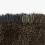Alfombra Silhouette Kvadrat Mousse 20084-0370-250x350