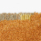 Alfombra Silhouette Kvadrat Carotte 20084-0510-250x350
