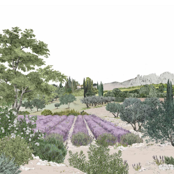 Papel pintado panorámico Provence Couleur