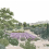 Papel pintado panor&aacute;mico Provence Couleur Isidore Leroy Eté 6266714
