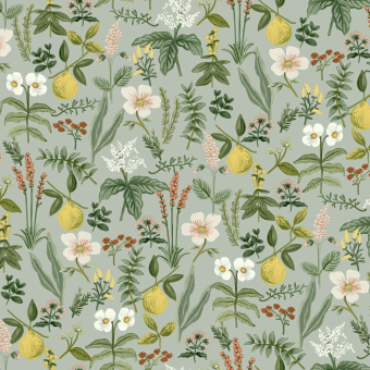 Papel pintado Herb Garden