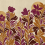Papel pintado panor&aacute;mico La Floraison Etoffe.com x Bleu Cobalt Aubergine la-floraison-col5