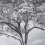 Papel pintado panor&aacute;mico The Silent Witness Londonart Brume Graphite 25014-1
