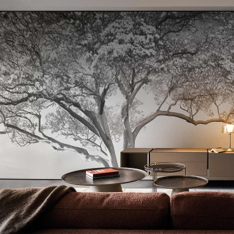 Papel pintado panorámico The Silent Witness