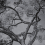 Papel pintado panor&aacute;mico Arborescent Labyrinth Londonart Silence Graphite 25015-3