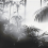 Papel pintado panor&aacute;mico Linear Palms Londonart Charbon Élégant 25016-3