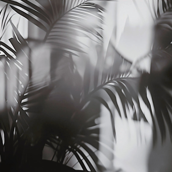 Papel pintado panorámico Linear Palms