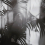 Papel pintado panor&aacute;mico Linear Palms Londonart Charbon Botanique 25016-1