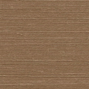 Papel pintado Agave