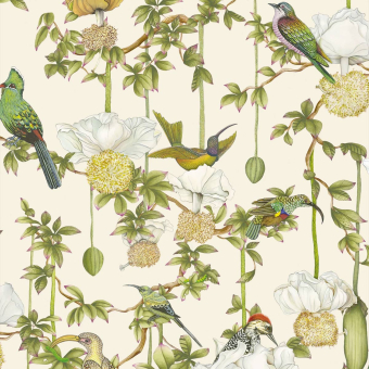 Papel pintado Baobab Botanica