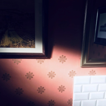 Papel pintado Brockhamtpon Star