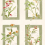 Papel pintado Sta.&nbsp;Cruz Coordonn&eacute; Celadon YSP0631