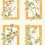Papel pintado Sta.&nbsp;Cruz Coordonn&eacute; Ocre YSP0630