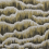Tejido polar M&eacute;taphores Mousse 71547-009