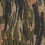 Tela Bomarzo Dedar Verdure 00T2602600001