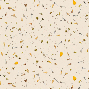 Papel pintado Floral Confetti