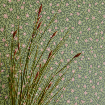 Papel pintado Blossom