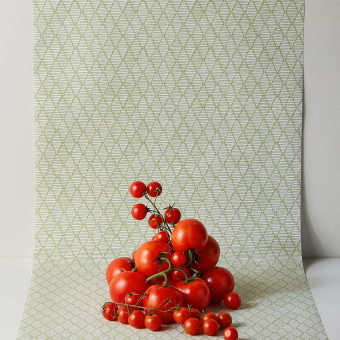 Papel pintado Triangle Trellis