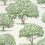 Papel pintado Magnolia Blossom Little Greene Hopper magnolia-blossom-hopper
