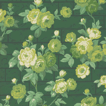 Papel pintado Rose Garden
